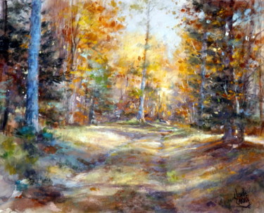 Les couleurs de la foret