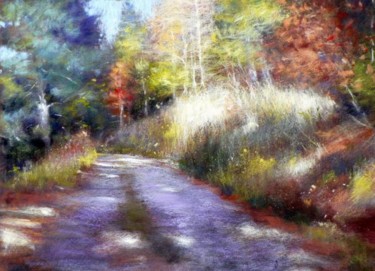 LE CHEMIN BLEU
