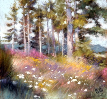 floraison d'été