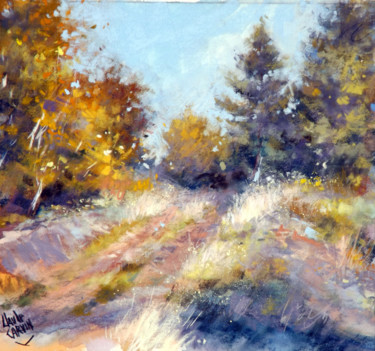 sentier-vers-la-foret.jpg
