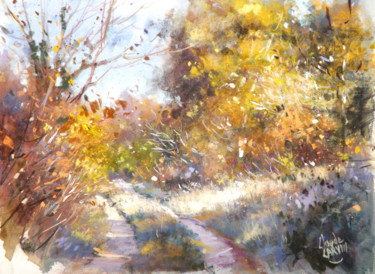 chemin-ensoleille.jpg