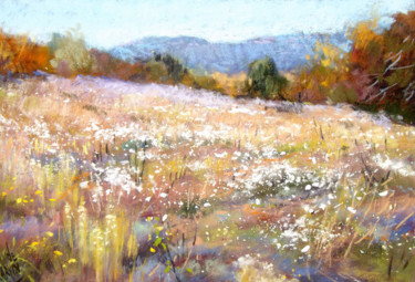1-1-avant-l-hiver.jpg