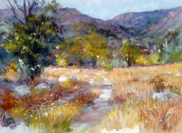 Chemin vers la Souche