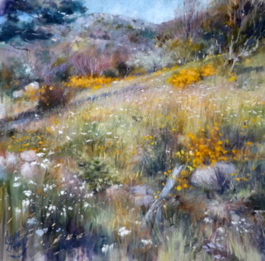 La prairie